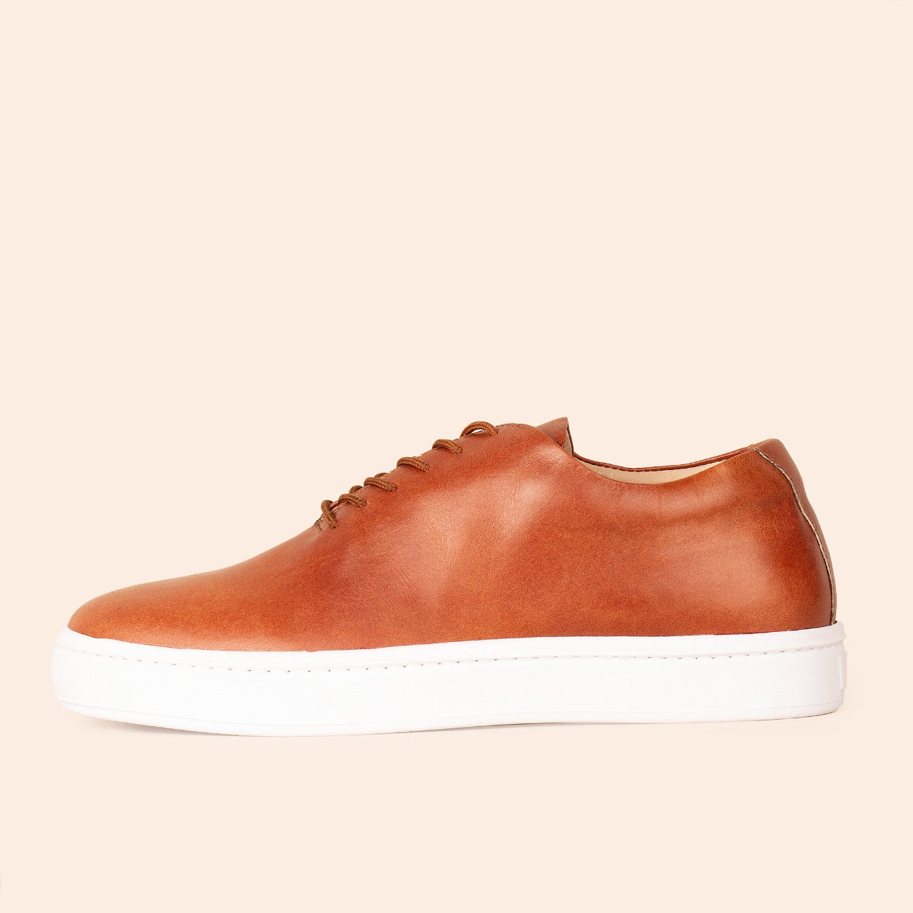 shobis-Tatos-camel2