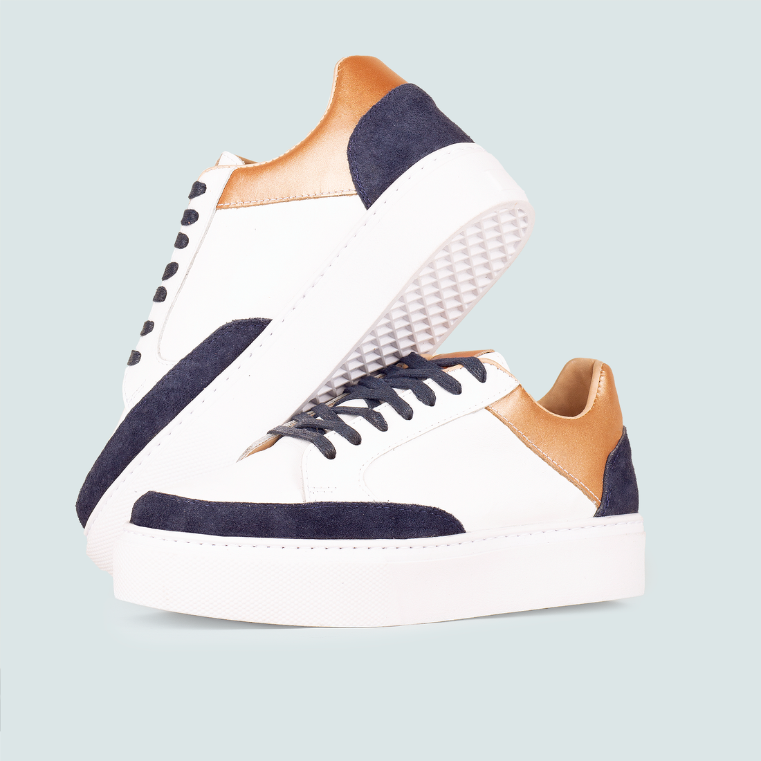 SHOBIS ORIGEN EDICIÓN LIMITADA PLANOS