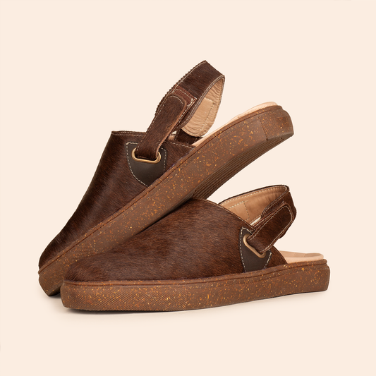SHOBIS ORIGEN EDICIÓN LIMITADA PLANOS